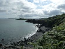 st ives and carrick du from clodgy point cornwall.jpg